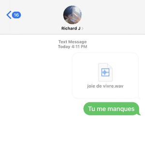 joie de vivre
