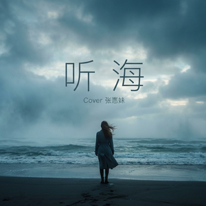 听海(Cover 张惠妹)