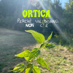 Perché un domani non c'è