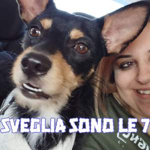 Sveglia sono le 7