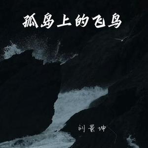 孤岛上的飞鸟