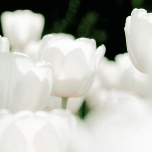 여름과 가을 사이