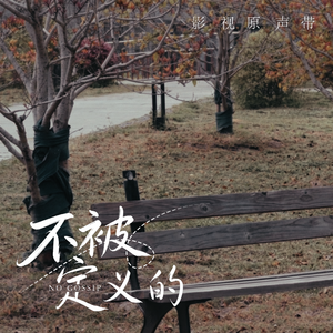 不被定义的