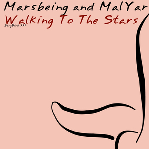 Walking to the Stars [Bonus Track] (Chris Domingo Remix)