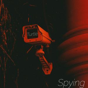 Spying