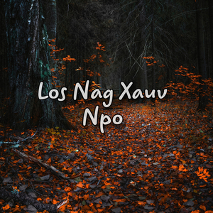 Los Nag Xauv Npo