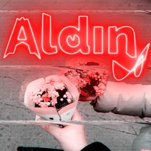 Aldın