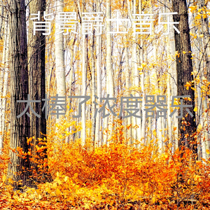 安静的浓度声音