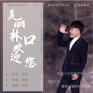 美丽林口欢迎你 (伴奏)