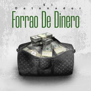 Forrao De Dinero