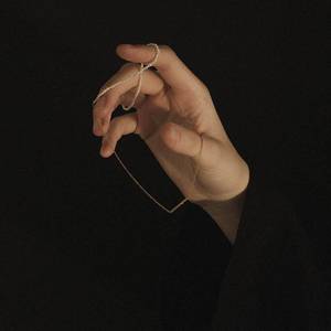 去没人的岛 摸鲨鱼的角