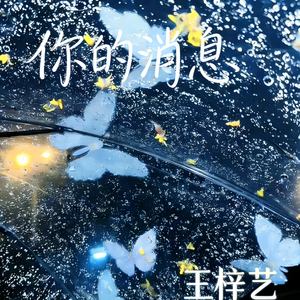 你的消息
