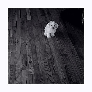 I'll Try Anything Once