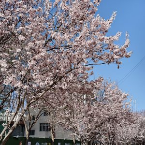 好喜欢你 像风走了八千里