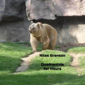 Quadrantids for Hours