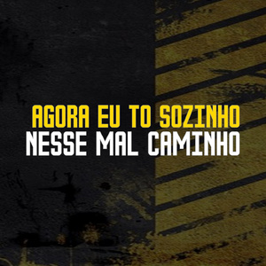 Agora Eu To Sozinho Nesse Mal Caminho