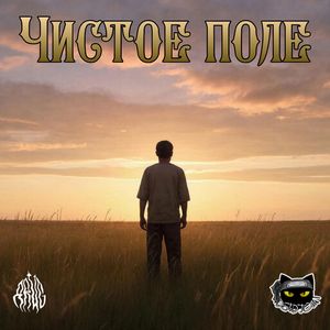 Чистое поле