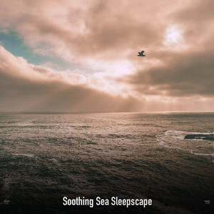 Solitude of the Seashore