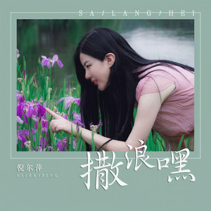 撒浪嘿 (DJ版)