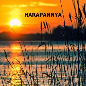 Harapannya