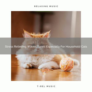 Nature Tunes For Your Beloved Cats
