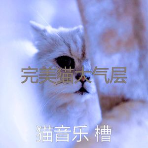 一尘不染小猫印象数