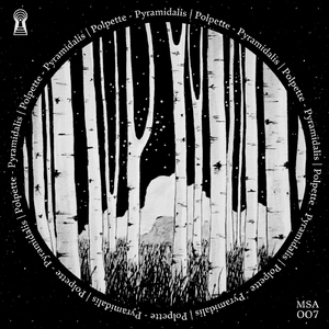 Pyramidalis (Frankie Vertigo Remix)