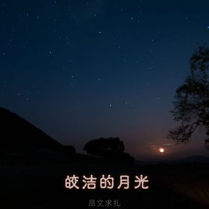 皎洁的月光