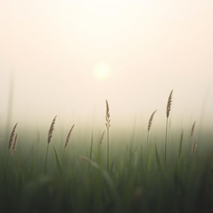 ただ、ここにいるだけで