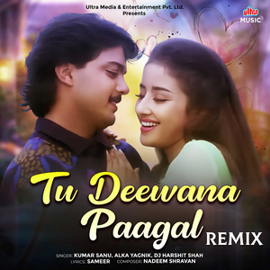Tu Deewana Paagal (Remix)