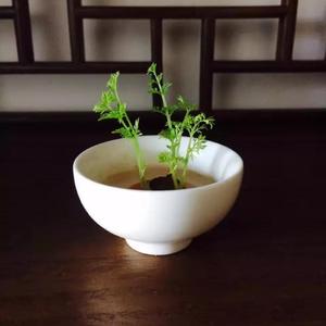 灯塔（刘新宇）（翻自 牛欣欣）