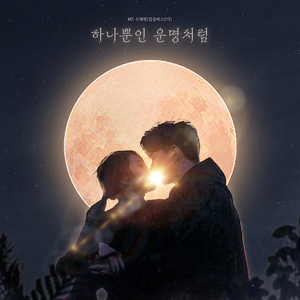 하나뿐인 운명처럼 (Inst.)
