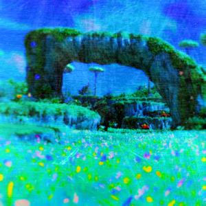 Walking Into The Forest