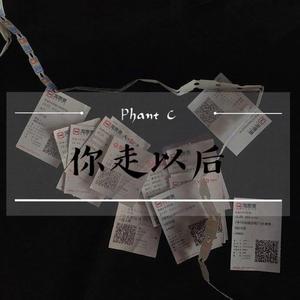 王恩信Est-你走以后（Phant C Remix）