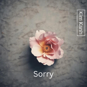 Sorry