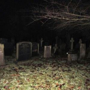 Cmentarne Wizje (цвинтарні видіння)