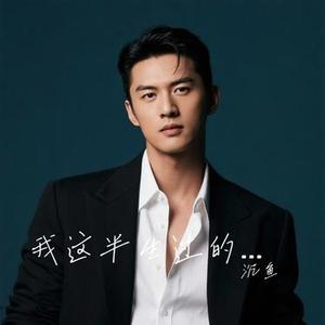 我这半生过的一塌糊涂 (Cover 王铁辉)