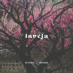 Inveja (feat. Din BEATS, Kitoko Sound, Jazzy Rhodes, Kanda Beats & Kitoko Guitar)