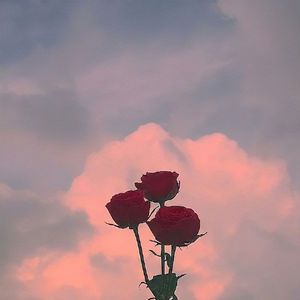 《for my friends》