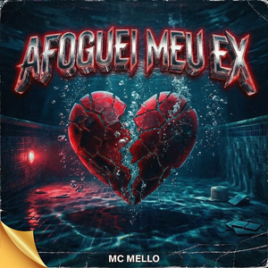 AFOGUEI MEU EX (SPEED UP)