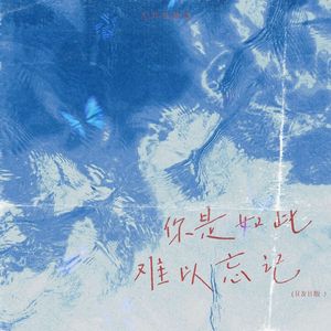 你是如此难以忘记 (R&B版)