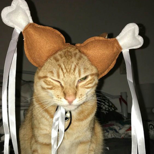 hunny chimken (sped up)