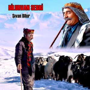 Bilur