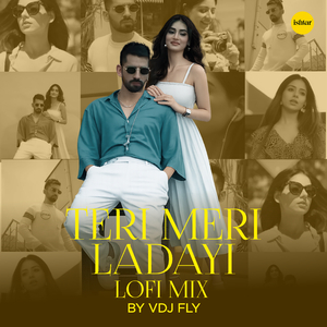 Teri Meri Ladayi (Lo Fi)