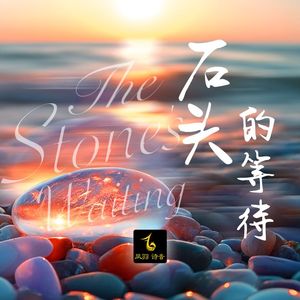 石头的等待