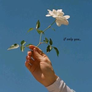 if only you