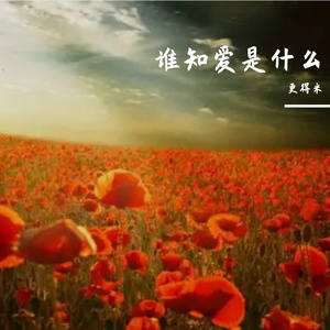 谁知爱是什么