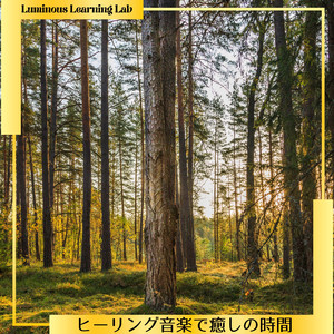 Harmony's Tender Loom