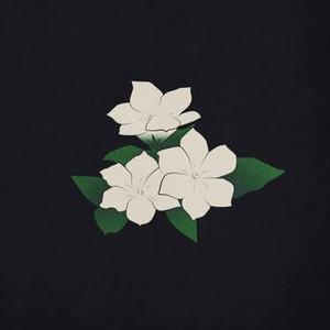 茉莉 (Cover JBcob林泽贤 & 张泳浩)