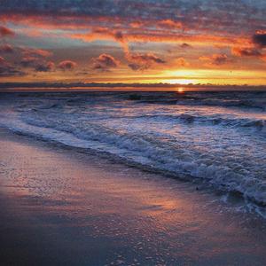 R0tby Swisher O Duc Pe Undeva